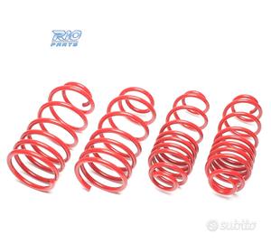 KIT MOLLE SPORTIVE PER NISSAN