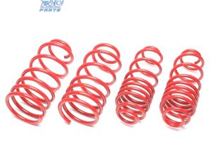 KIT MOLLE SPORTIVE PER NISSAN