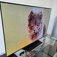 TV Oled LG 55B6V