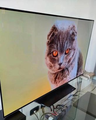 TV Oled LG 55B6V