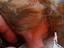 Immagine 3