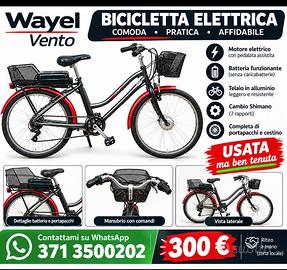 bici elettrica 