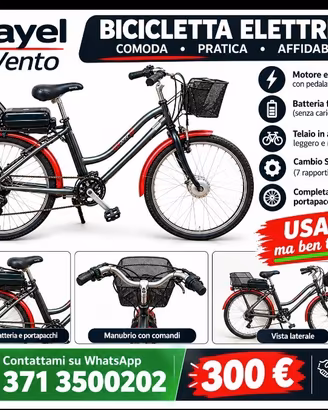 bici elettrica 