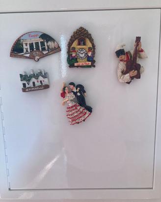 Calamite da frigo mai usate
