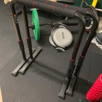 Parallele da palestra