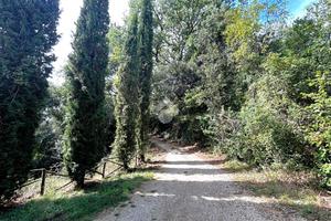 TER. AGRICOLO A TORRI IN SABINA