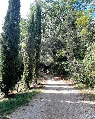 TER. AGRICOLO A TORRI IN SABINA