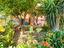 Immagine 16