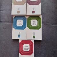 Set di 5 libri narrativa italiana. Premi Strega