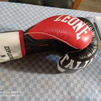 Guantoni Boxe Leone