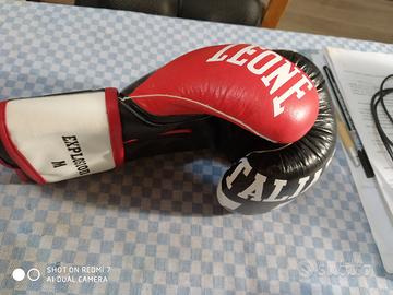 Guantoni Boxe Leone