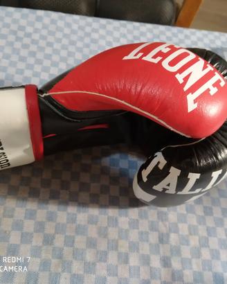 Guantoni Boxe Leone