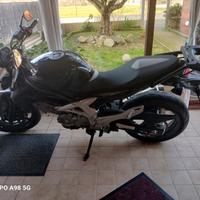 Suzuki Gladius 650