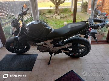 Suzuki Gladius 650