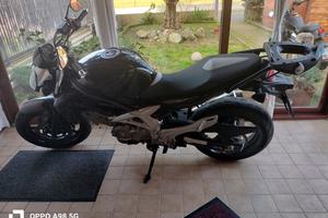 Suzuki Gladius 650