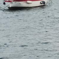 gozzo vetroresina