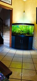 Acquario juwel Trigon 350