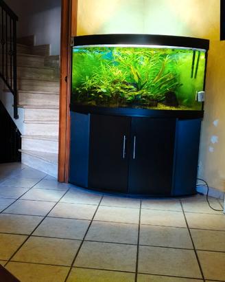 Acquario juwel Trigon 350