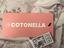 Immagine 6