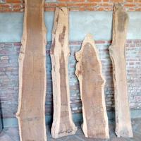 tavole legno 