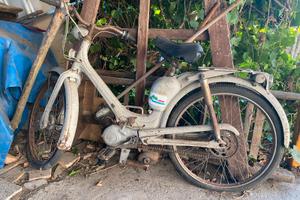 Lambretta 48