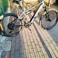 Bici elttrica whistle