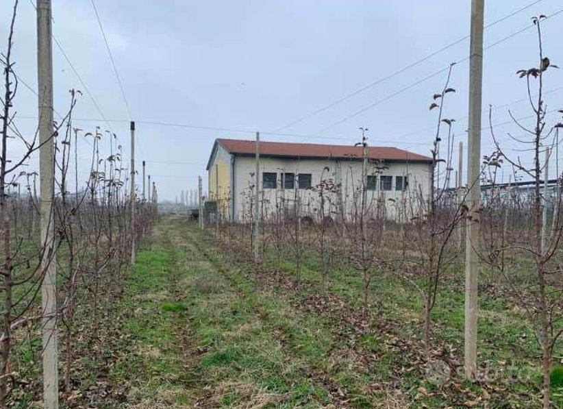 RGE 133/2022 Tribunale Verona Lotto 2) - Altro