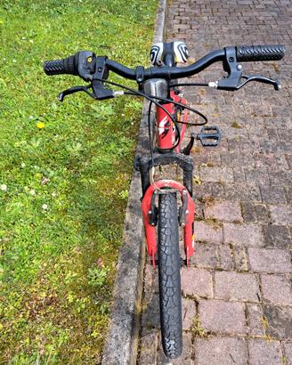 Bici 20