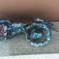 Lotto di 4 Sculture caratteristiche Coter