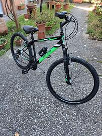 Mountain bike modello. Stark