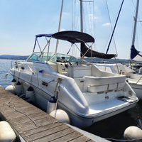 Sea ray 240 sundancer con motore anno 2008
