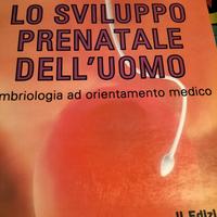 🥼🩺lo sviluppo prenatale dell'uomo