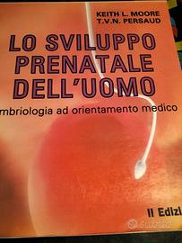 🥼🩺lo sviluppo prenatale dell'uomo