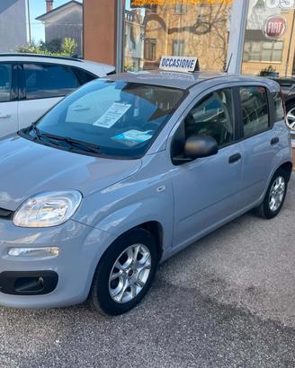 Fiat Panda 1.0 FireFly S&S Hybrid Launch Edition