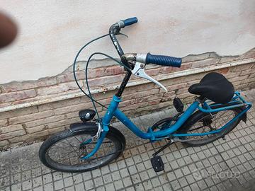 bicicletta pieghevole