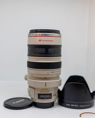 Canon EF 28-300mm f 3.5-5.6 L IS USM