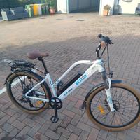 bici elettrica 