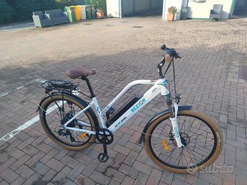 bici elettrica 