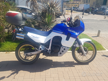 Splendida Honda transalp X l 600 V Asi