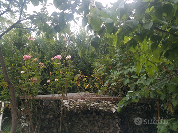 Riccione Unità immobiliare zona porto