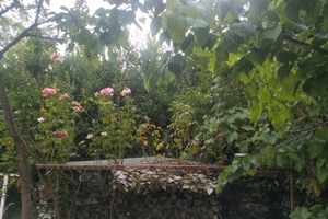 Riccione Unità immobiliare zona porto