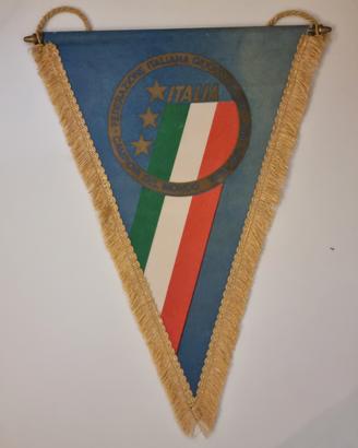 gagliardetto italia vintage 