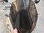 Immagine 3