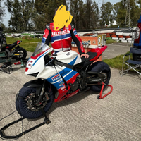 Honda CBR 1000 rr pronto pista