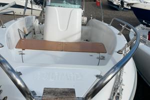 Barca con Motore Honda 40/70