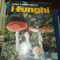 Come e dove vivono i funghi