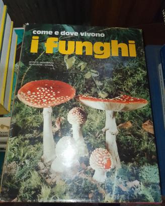 Come e dove vivono i funghi