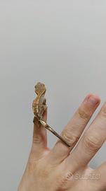 Cappuccino Ciliatus Crested Gecko