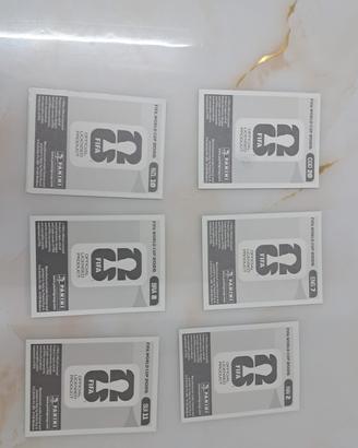 Figurine panini mondiale 2026