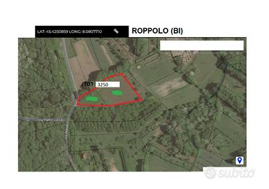 Terreno Il Buon VIno